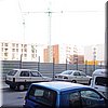 DSC05303.JPG