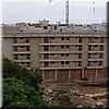 DSC06742.JPG