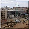 DSC06743.JPG