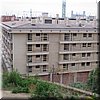 DSC06747.JPG